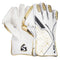 Wicket Keeping Gloves